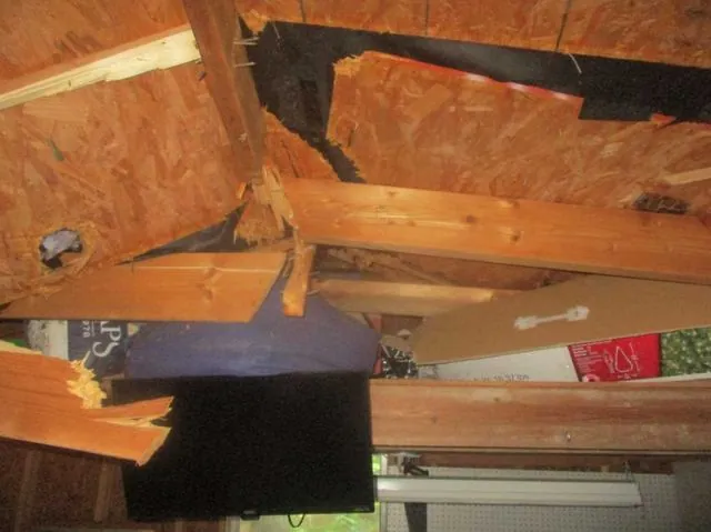 Damaged shed ceiling and roof deck from tree strike