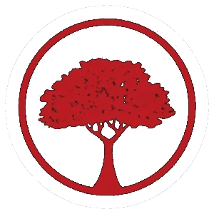 Red Oak Restoration Services