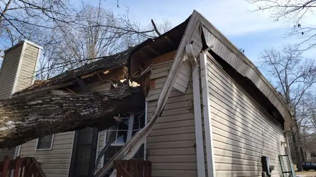 Tree fallen through roof and gable, exterior storm damage