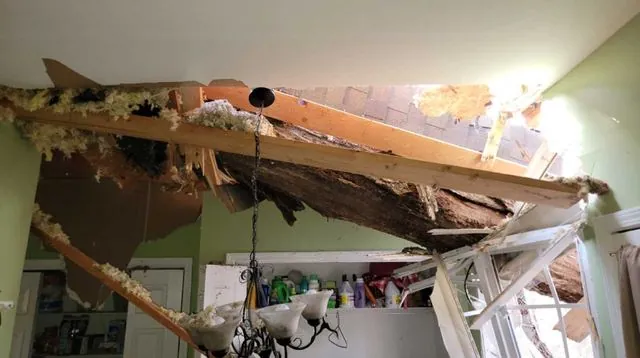 Ceiling collapsed from tree strike, exposed framing and insulation